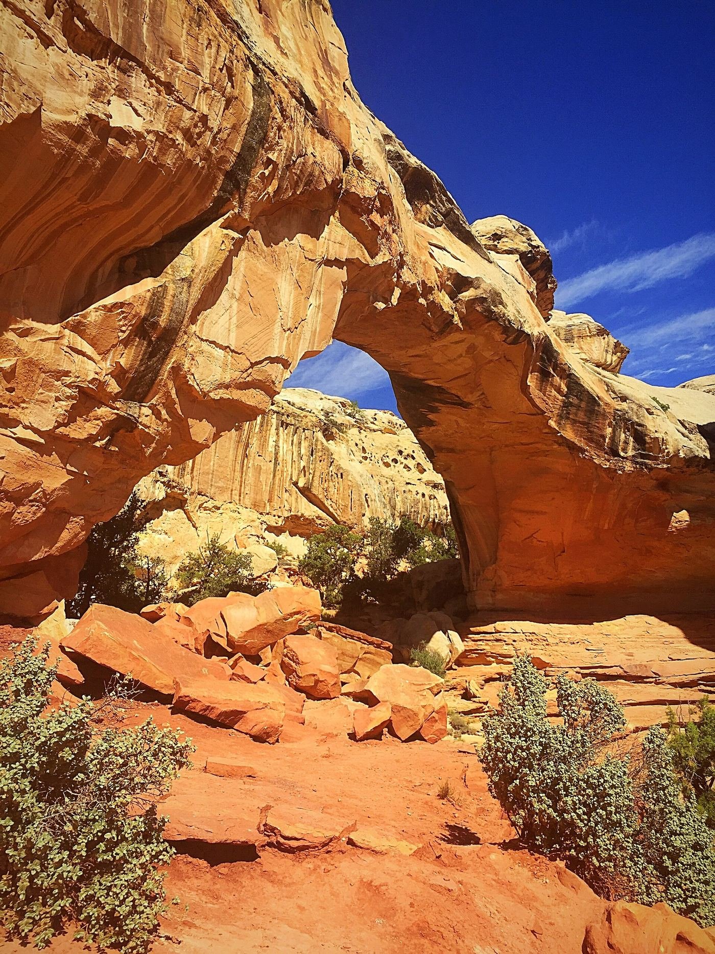 Hickman Bridge natural stone arch at Capitol Reef National Park