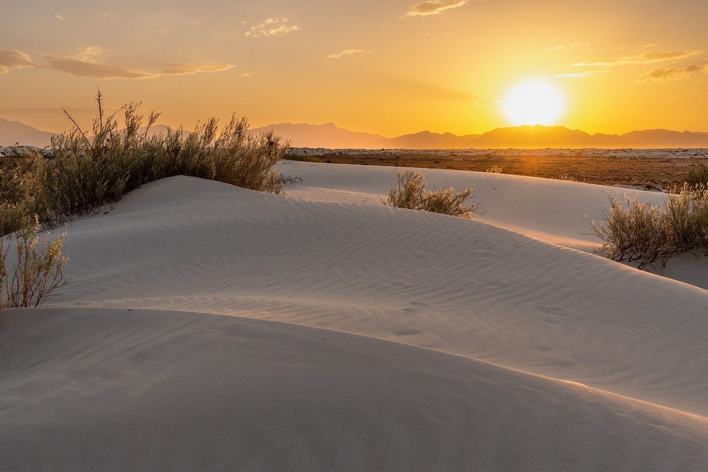 A smooth white dune glowing in the setting sun at White Sands National Park