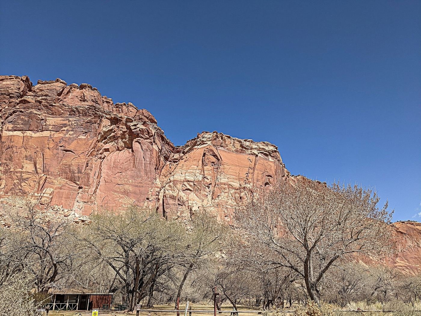 The paved Scenic Drive winding through red rock cliffs in Capitol Reef National Park