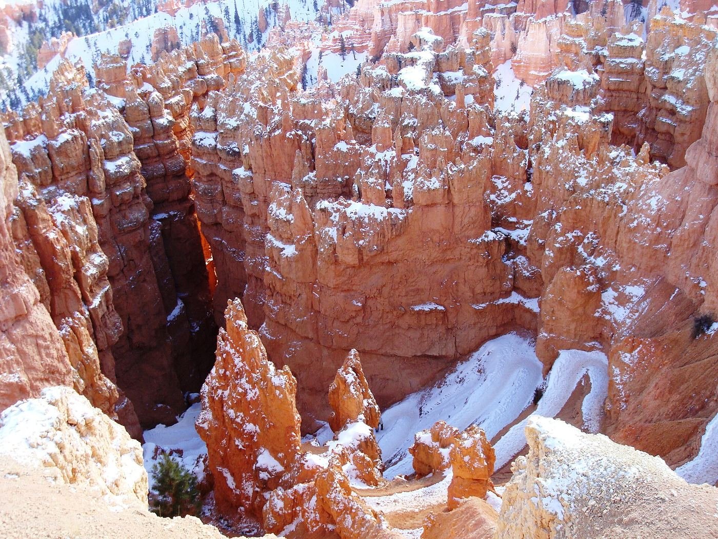 The narrow Wall Street section of the Navajo Loop trail at Bryce Canyon