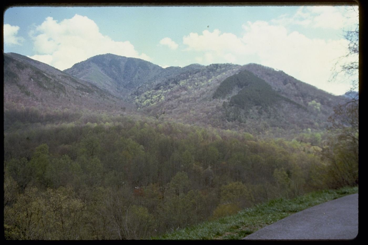 Ridge upon ridge of forested mountains in Great Smoky Mountains National Park