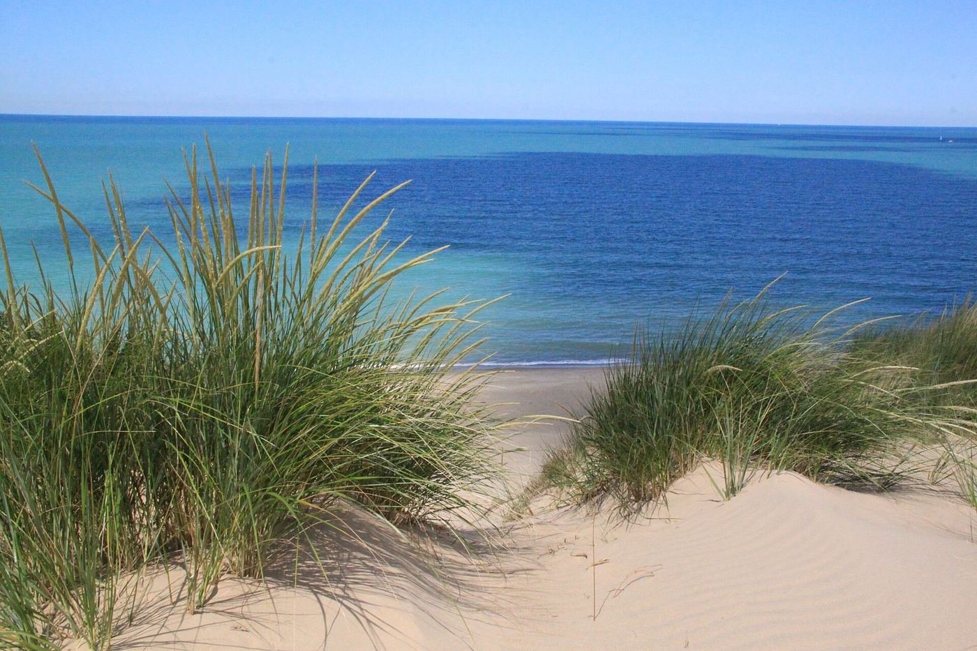 Mount Baldy dune at Indiana Dunes National Park