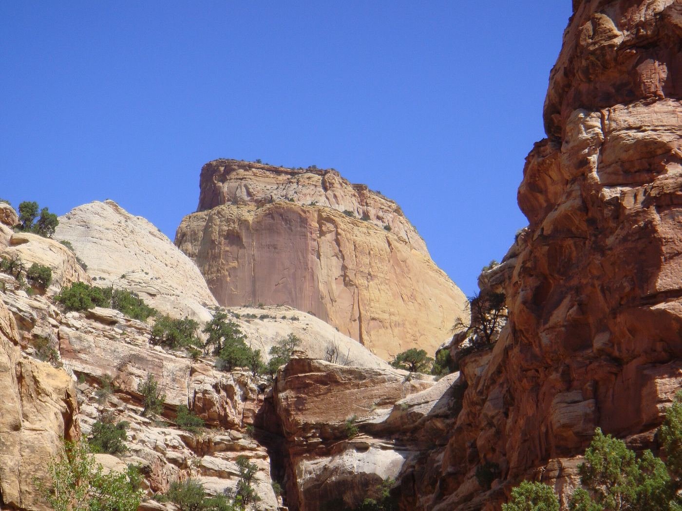 The Golden Throne sandstone monolith at Capitol Reef National Park