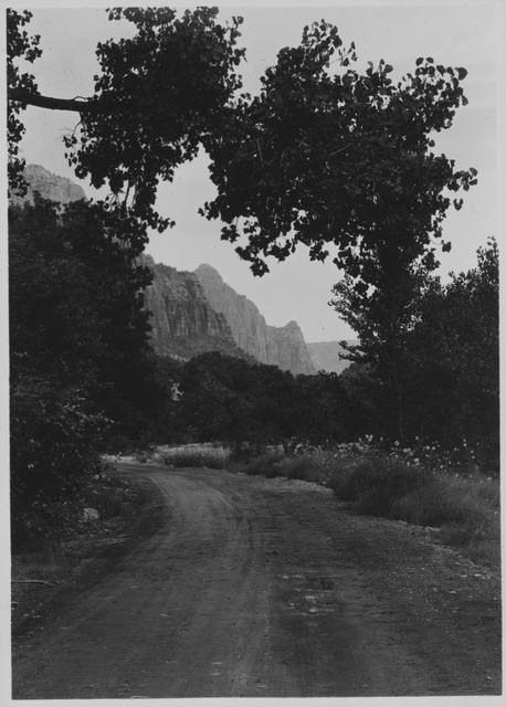 Zion Canyon