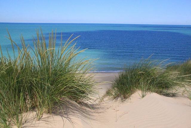 Mount Baldy dune at Indiana Dunes National Park